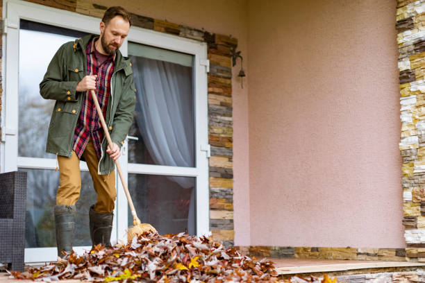 Best Junk Removal and Recycling  in Camp Point, IL